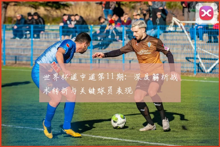 世界杯道中道第11期:深度解析战术转折与关键球员表现