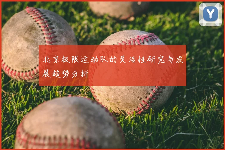 北京极限运动队的灵活性研究与发展趋势分析