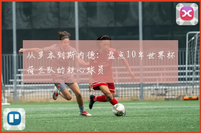 从罗本到斯内德：盘点10年世界杯荷兰队的核心球员
