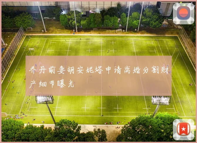 乔丹前妻胡安妮塔申请离婚分割财产细节曝光