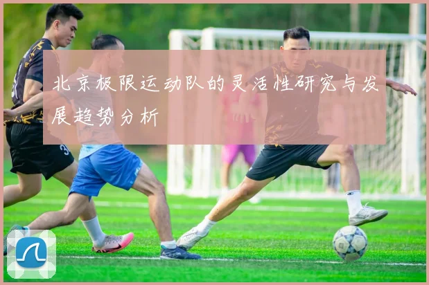北京极限运动队的灵活性研究与发展趋势分析