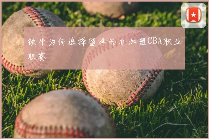 铁牛为何选择留洋而非加盟CBA职业联赛