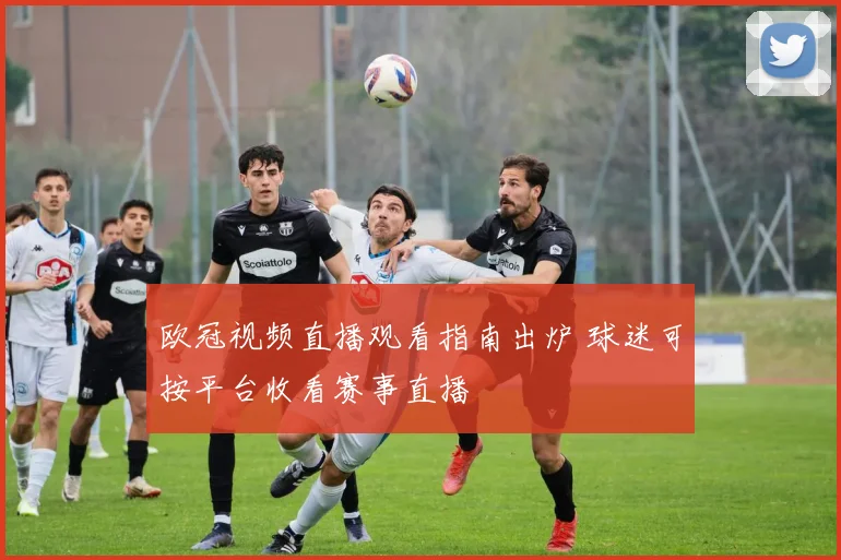 欧冠视频直播观看指南出炉 球迷可按平台收看赛事直播